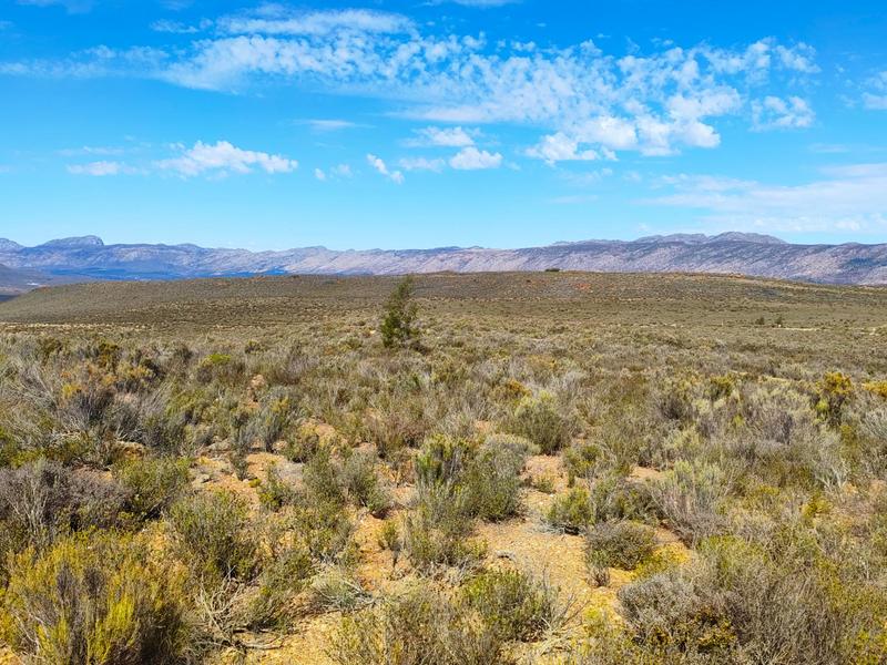 0 Bedroom Property for Sale in Montagu Rural Western Cape